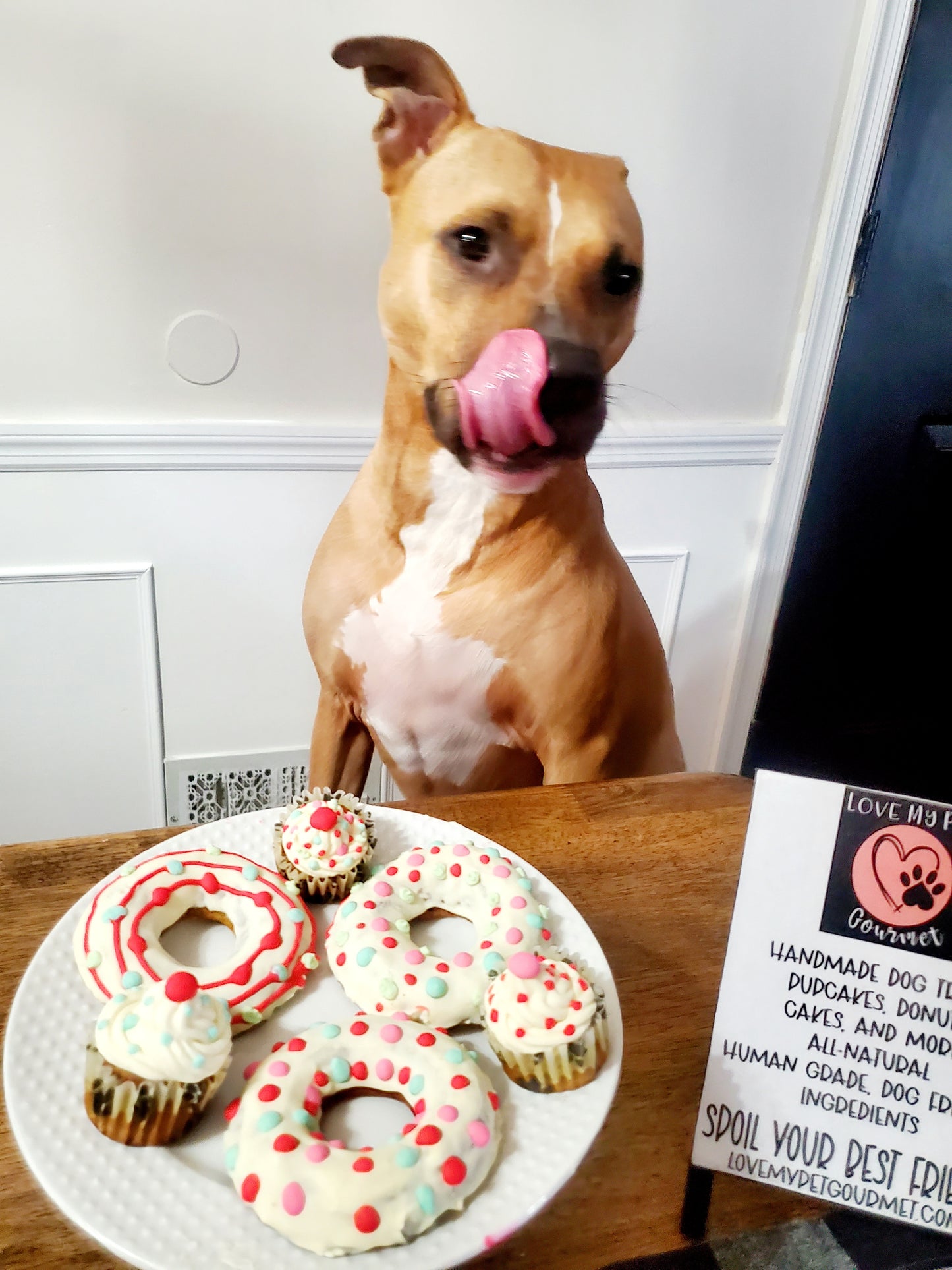 Doggy Donuts