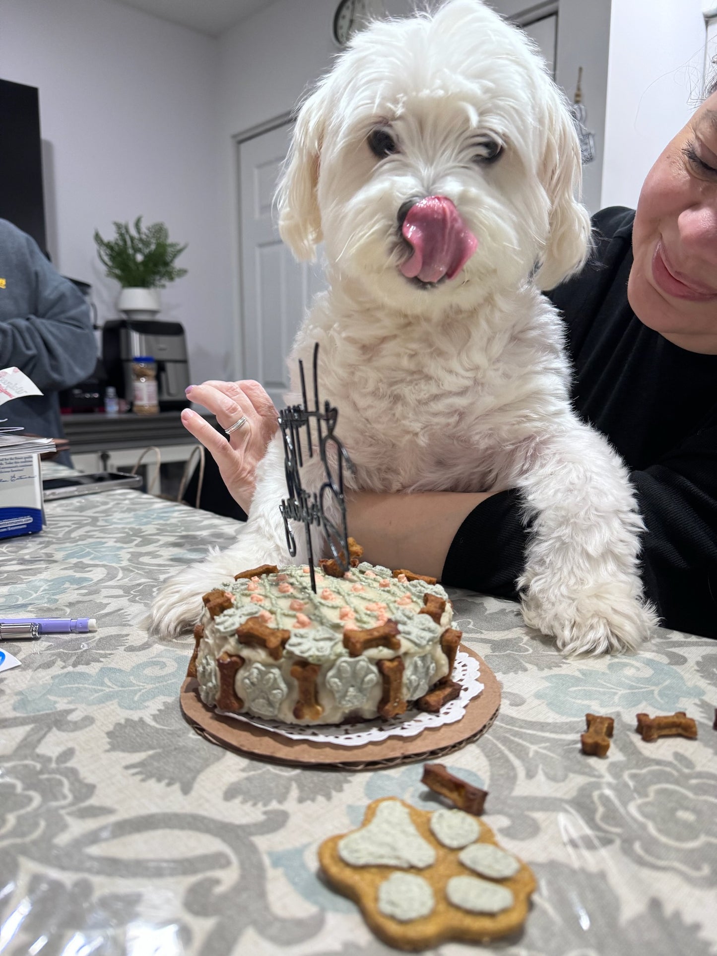 Doggy Barkday Cake