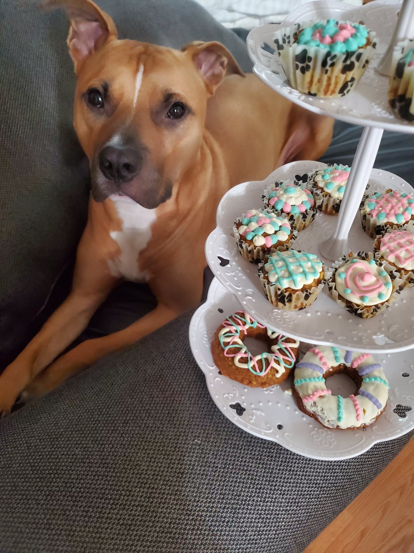 Mini Pupcakes