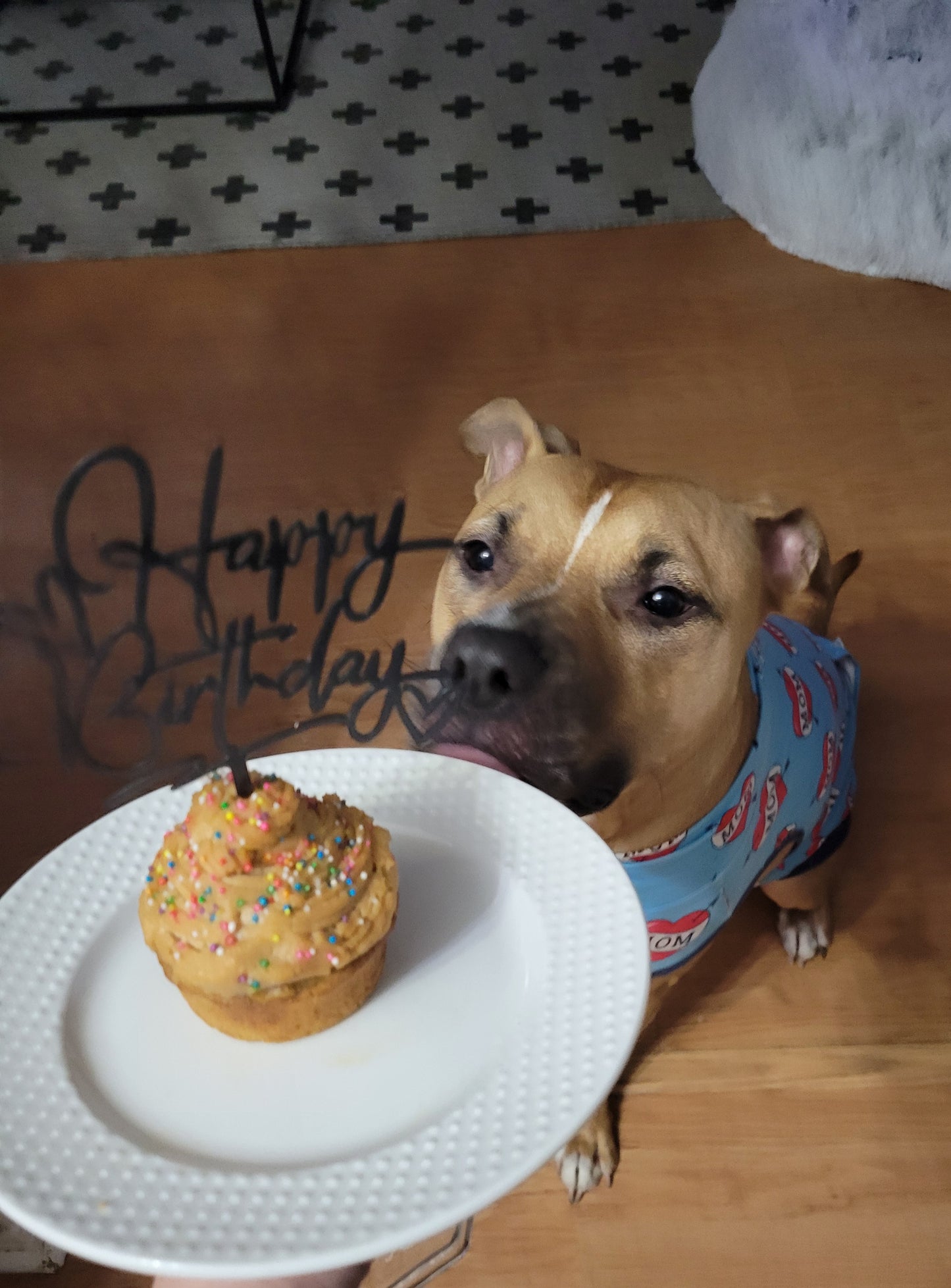 Mini Pupcakes
