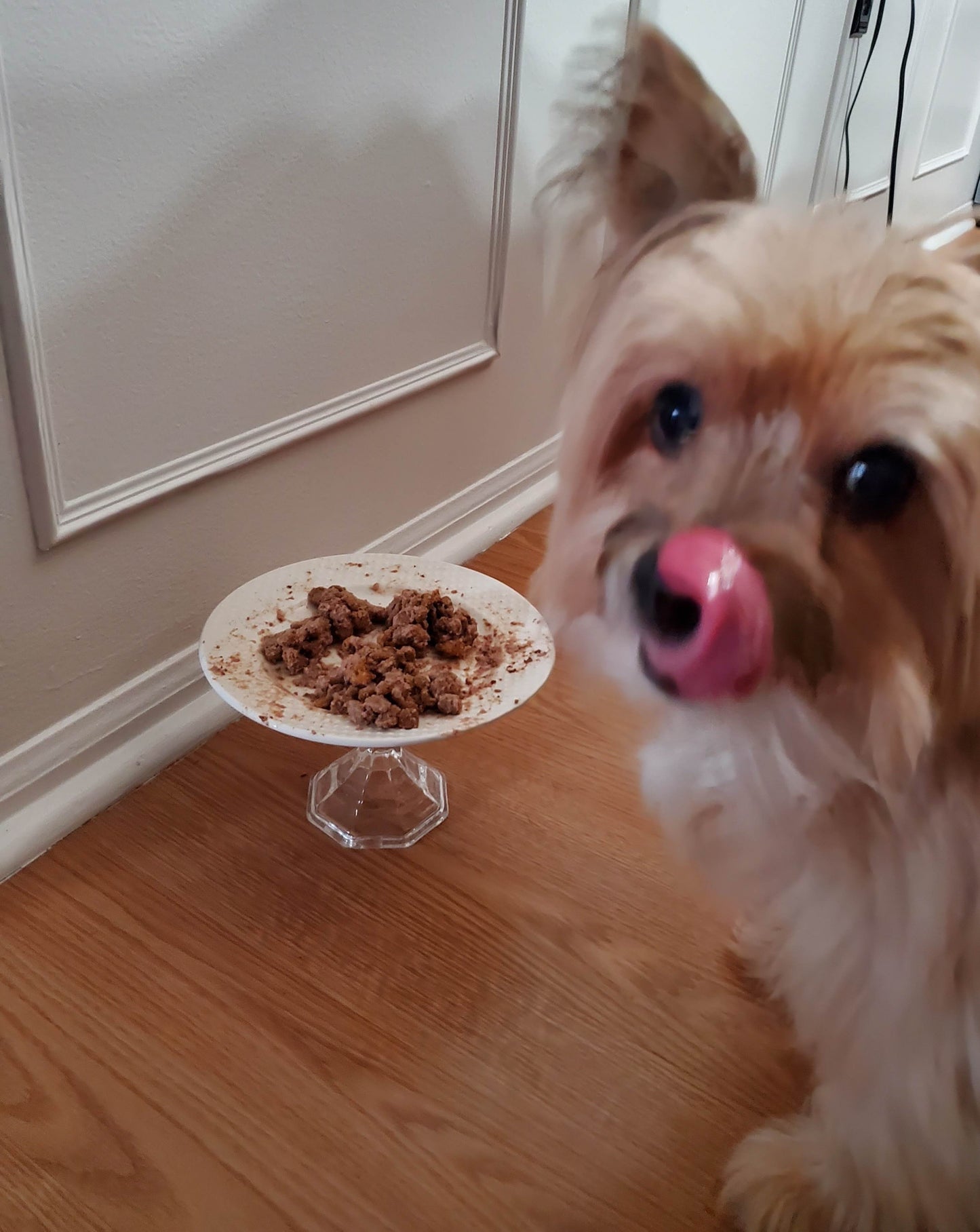 Doggy Dish Set