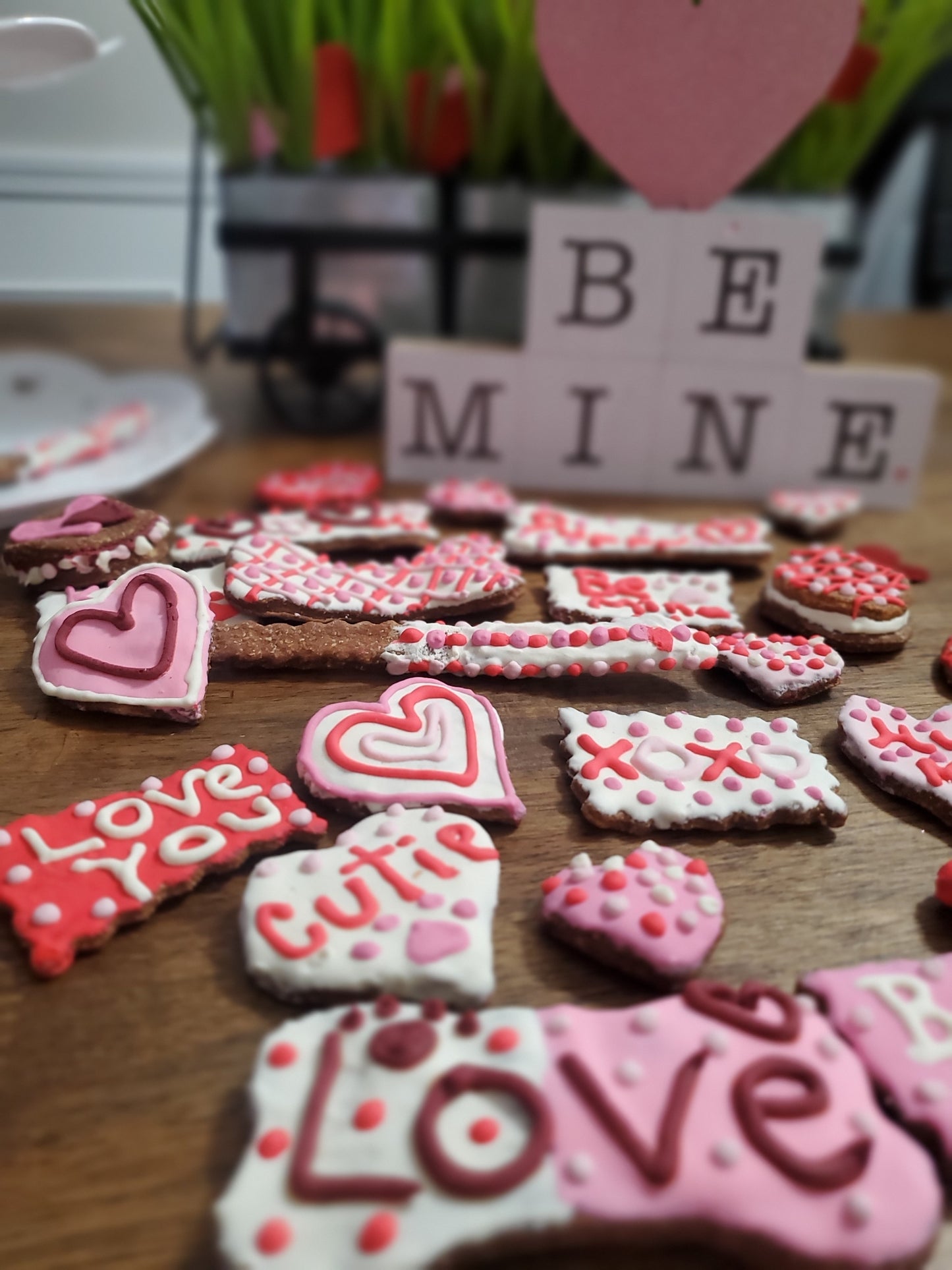 Valentines Doggy Cookies